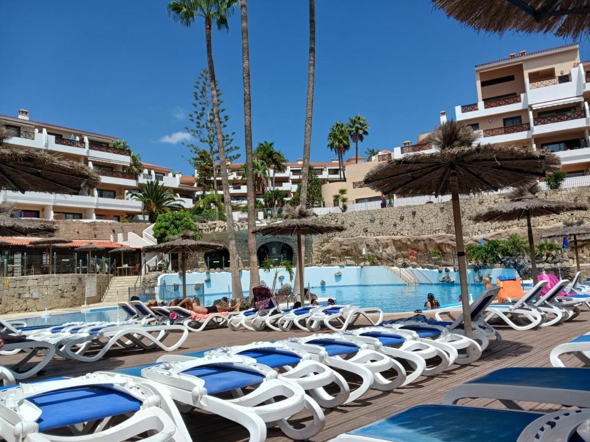 Chillout Studio Albatros In Toller Anlage Mit Pool San Miguel de Abona Extérieur photo