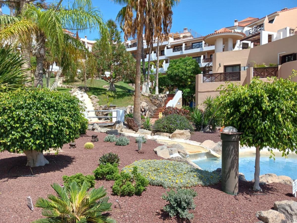 Chillout Studio Albatros In Toller Anlage Mit Pool San Miguel de Abona Extérieur photo